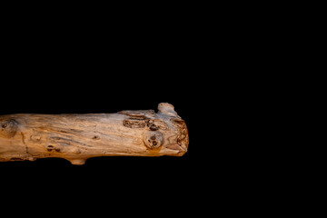 Driftwood carved by water in the shape of a dragon