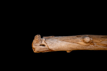Driftwood carved by water in the shape of a dragon