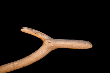 Driftwood carved by water in the shape of a dragon