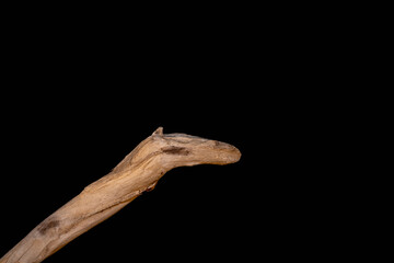 Driftwood carved by water in the shape of a dragon