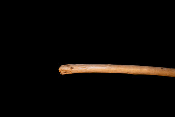 Driftwood carved by water in the shape of a reptile