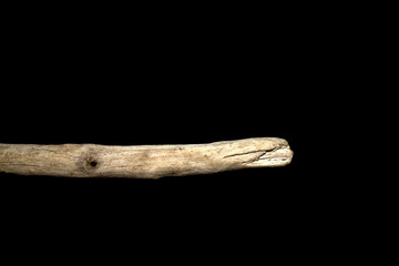 Driftwood carved by water in the shape of a reptile