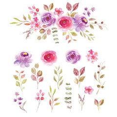 Floral watercolor isolated clip art leaf and flower collection