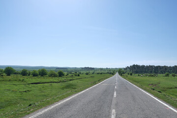 Fototapeta na wymiar road in the middle of green meadows on the plateau of the Urbasa-Andia mountain range, Navarre, Spain