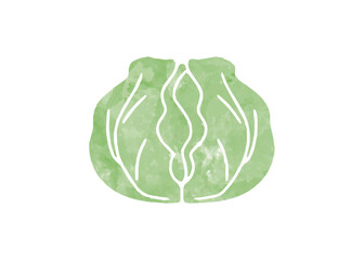 キャベツ　イラスト　手描き風