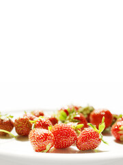 Fresh strawberries are scattered on the white plate on the bottom of the white isolated backgroung. Two strawberries are in focus, the rest is blurred