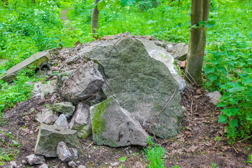 Obraz premium Natural panorama view rock pathway green plants trees forest Germany.