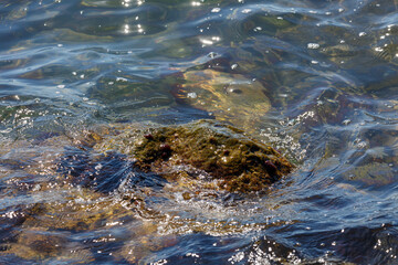 Waves hit a rock in the sea