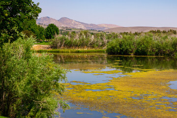 lake in the mountains