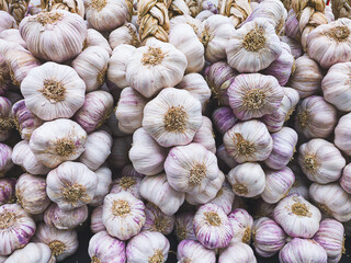 Pile of garlic at a farmer's vegetable market in France, close-up
