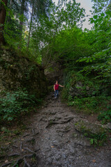 Wanderin in der Bürserschlucht, wandernde Frau neben den steilen Felswänden auf dem schmalen Weg...