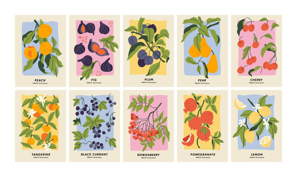 Vector illustration set of botanical posters with different fruits. Art for for postcards, wall art, banner, background.