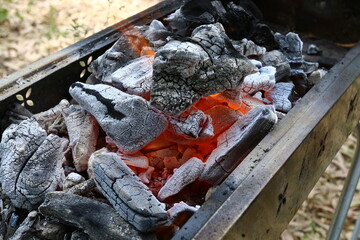 Coals are burning in a brazier in a forest clearing.