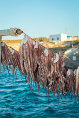 Drying octopus arms on Milos island, traditional greek seafood prepared on a grill, Greece