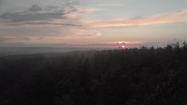 Forest park in the city. Sunset. Drone shot from above. Slow camera up. Little fog. High-rise buildings. . Tall trees.