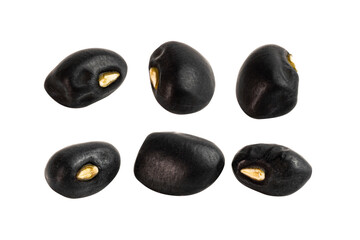 Dry Black Bean Seed (or Urad dal, black gram, vigna mungo) isolated on white background