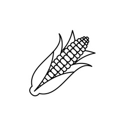 Corn cob vector icon outline line black. EPS 10. Vegetable flat illustration.... Farm market product. Vegetarian food... Fresh healthy organic food... Crop concept for vegan. Isolated on white