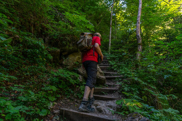 Obraz premium Wanderer auf dem Weg durch die Bürser Schlucht, Mann auf dem schmalen Wanderweg über Treppen und Stufen durch die bewaldete Schlucht bei Bürs, Vorarlberg, Österreich