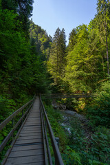 Obraz premium Holzweg mit Brücke, dunkler Waldweg zwischen Birken, Eichen, Ahorn und Fichten, gesäumt von verschiedenen Waldblumen und Sträuchern. Sonnenstrahlen brechen durch das Blätterdach ins Tal