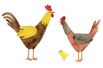 watercolor illustration rooster, hen and chick