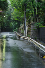 雨で路面が濡れた赤坂の街並