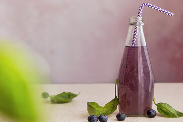 Soft organic purple cocktail bottle with blueberries, seeds, basil extract, leaves. Refreshing...