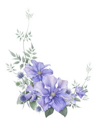 Obraz na płótnie Canvas A floral composition with blue clematis, very peri flowers, sea holly flower and stems with leaves hand drawn in watercolor isolated on a white background. Watercolor illustration. Floral arrangement.