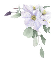 A corner floral composition with white clematis flowers, buds and eucalyptus branches hand drawn in watercolor isolated on a white background. Watercolor illustration. Watercolor floral arrangement.