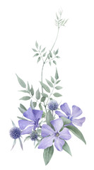 A floral composition with very peri flowers, sea holly flower and stems with leaves hand drawn in watercolor isolated on a white background. Watercolor illustration. Watercolor floral arrangement.