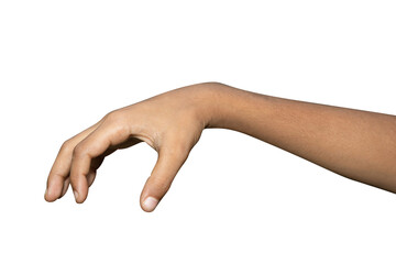 Hands isolated on white background
