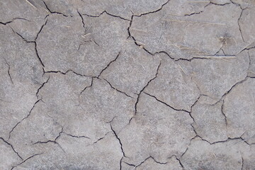 Dried-up earth in cracks. The heat, the background of the earth. Natural background.