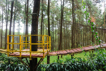 Fototapeta na wymiar Stunning wooden bridge in the middle of a pine forest 