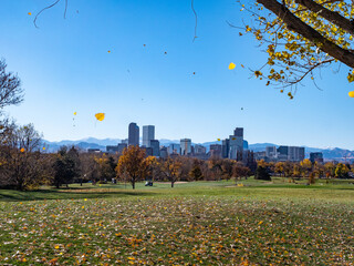 autumn in the city skiline with falling leaves