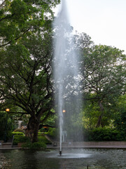 fountain in the park