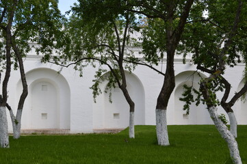 Moscow, Novodevichy Monastery, trees in the park