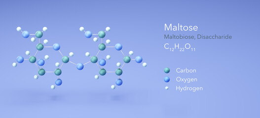 maltose, disaccharide, malt Sugar. Molecular structure 3d rendering, Structural Chemical Formula and Atoms with Color Coding, 3d rendering