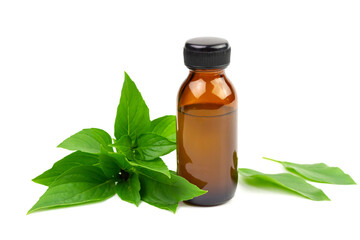 Bottle of basil essential oil with fresh basil leaf isolated on white background. Basil is both food and herbs for health care.