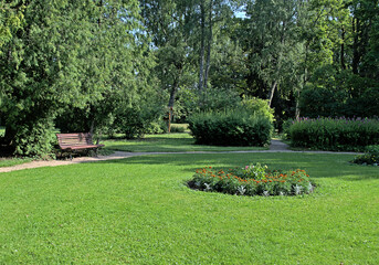 A bench in the park