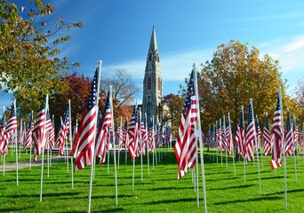 American flags in a park