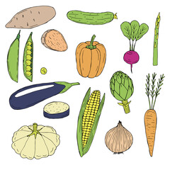 Vegetables set vector illustration, hand drawing colored
