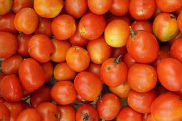 fresh tomatoes neatly arranged top view. fresh and red vegetable background