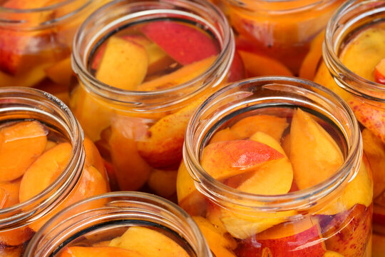 High angle, close up of apricot slices with water and sugar in jars. Homemade fruit compotes ready to be lidded and sterilised. Preparing winter supplies at home