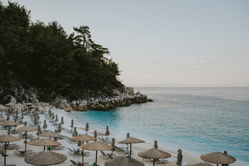 seagulls on the beach