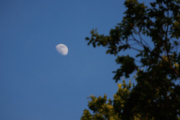 Moon in the sky