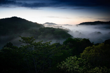 view of tropical rain forest at dawn shrouded in mist seen from above