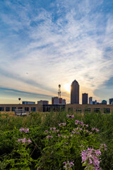 Hot air balloon rises over the Des Moines skyline at sunrise as seen from a roof garden.