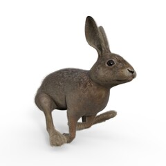 3d-illustration of an isolated running rabbit animal pet