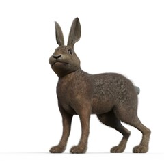 3d-illustration of an isolated rabbit animal pet standing