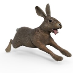3d-illustration of an isolated running rabbit animal pet