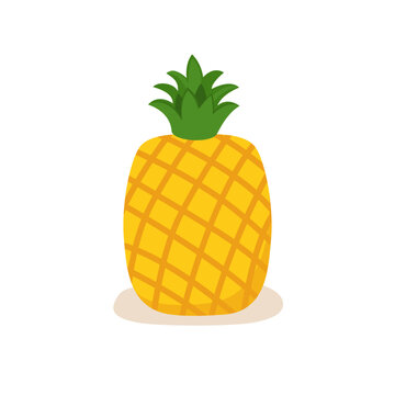 Pineapple tropical sweet summer fruit. flat vector illustration.